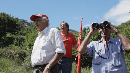 La vigie citoyenne dans La cigale, le corbeau et les poulets